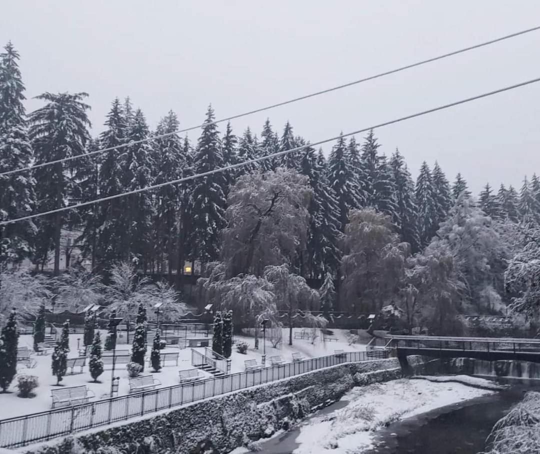 Vila Nicoleta Băile Olăneşti Exteriör bild