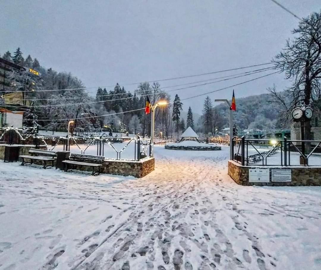 Vila Nicoleta Băile Olăneşti Exteriör bild