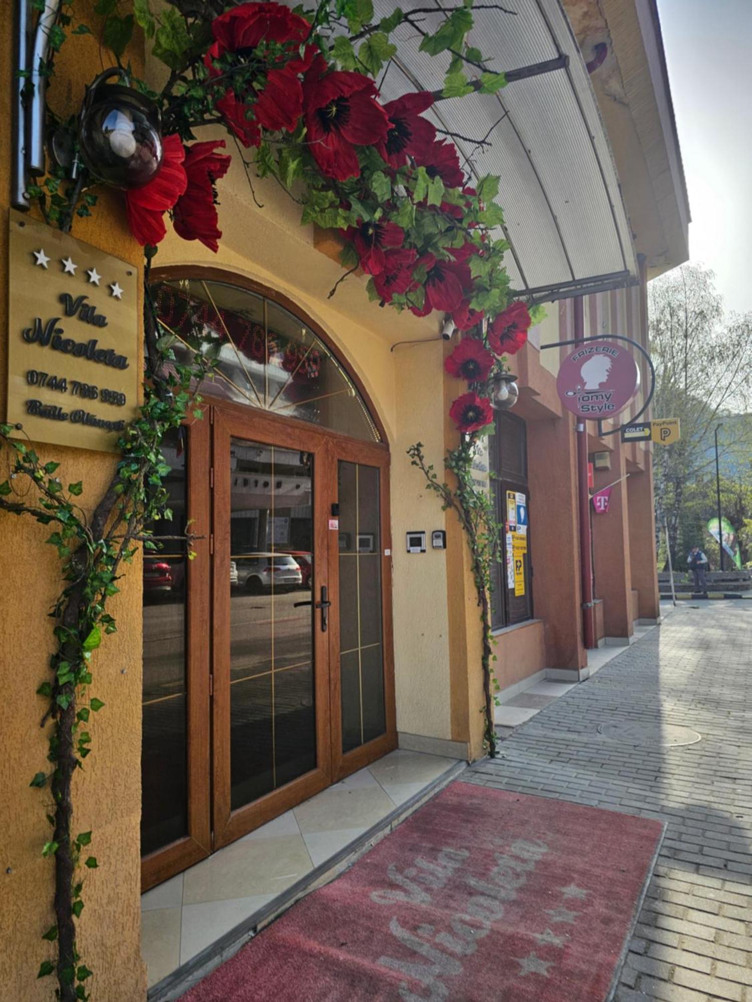 Vila Nicoleta Băile Olăneşti Exteriör bild